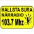 Hallsta Sura Narradio