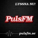 PULS FM BORÅS