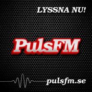 PULS FM BORÅS Logo