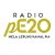 Radio pE20