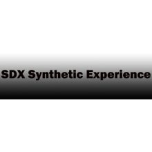 SDX Synthetic Experience