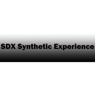 SDX Synthetic Experience