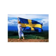 Sverigekanalen Mediacast 2 Logo